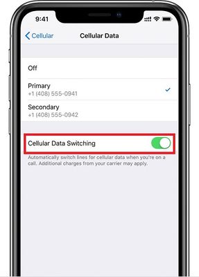 Cellular Data Switching - switch.jpg
